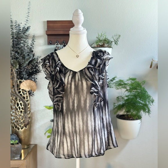 Worthington Sheer Black and Gray Ruffled Pleated Blouse - Picture 1 of 6
